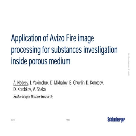 Application of Avizo Fire image processing for substances investigation inside porous medium