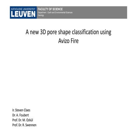 A new 3D pore shape classification using Avizo Fire