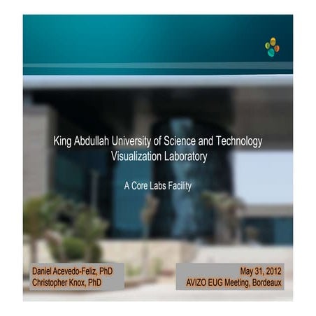 Lessons learned and challenges for lab-wide and campus-wide Avizo utilization at King Abdullah University of Science and Technology