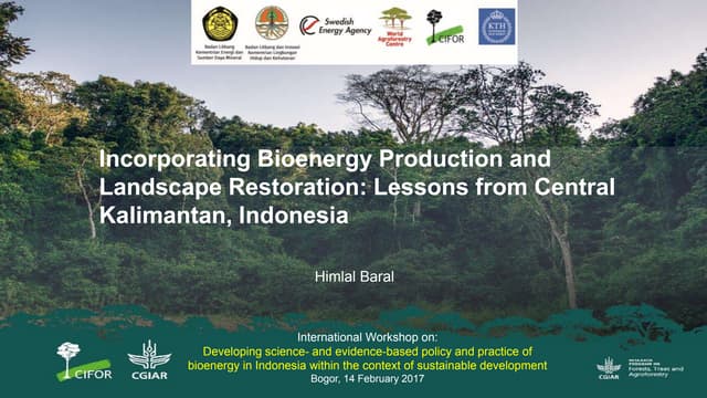 Incorporating Bioenergy Production and Landscape Restoration: Lessons from Central Kalimantan
