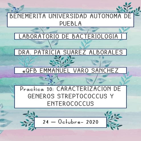 CARACTERIZACION DE GENEROS STREPTOCOCCUS Y  ENTEROCOCCUS