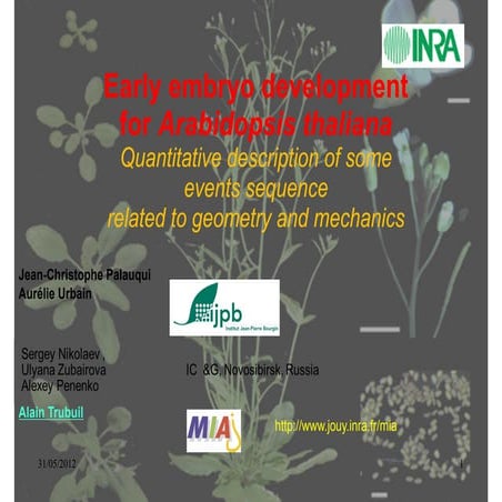 3D cell lineage reconstruction of early embryogenesis in plant