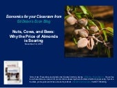 Bees, Cows, and Nuts: Why is the Pr...