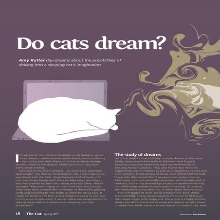 The Cat magazine – Do cats dream?