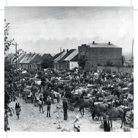 Koprzywnica Patrzy/My - kontynuacje. Pocztówka nr 19