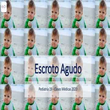 P19 Escroto Agudo