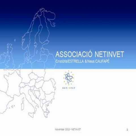 P19 netinvet bcn_2013-1