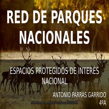 P1 antonio parras PPT