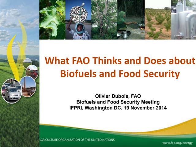 P1 dubois biofuels and food security - ifpri november 2014