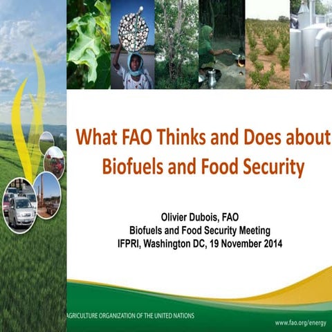 P1 dubois biofuels and food security - ifpri november 2014