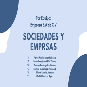 Tipos de Sociedades y Empresas en México: Marco Legal y Clasificación | PDF