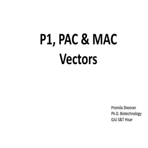 P1, mac and pac vector