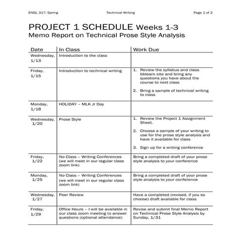 Eng 317H Project 1 Assignment Sheet | PDF