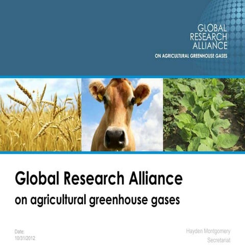 P2.3. Global Research Alliance on agricultural greenhouse gases 
