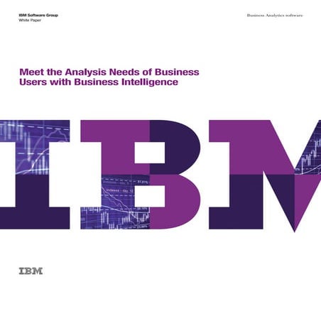 Leverage IBM Business Analytics with PMSquare