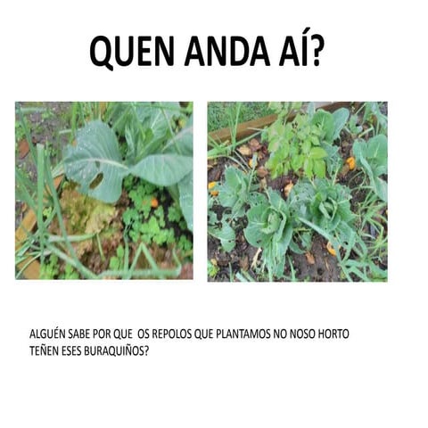 Quen anda ai