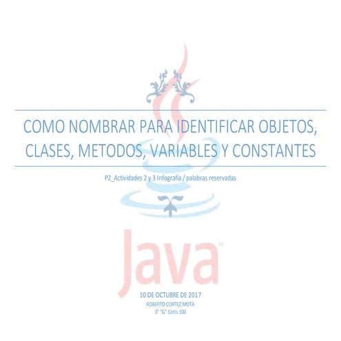 P2 actividades 2 y 3 infografía palabras reservadas