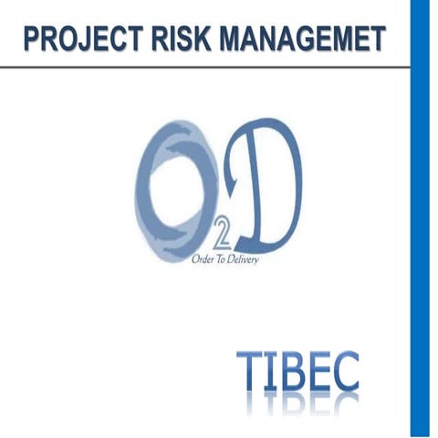 Project Risk Management_O2D