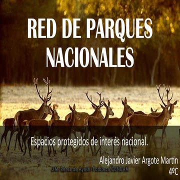 presentación para noobs e idiotas de remate