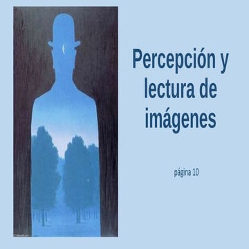 P3 la percepción visual y la observación