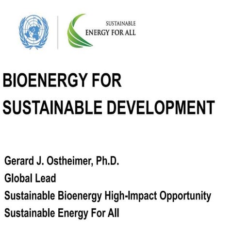 P3 ostheimer 19_nov14