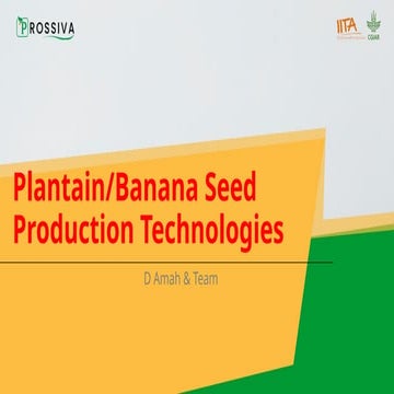 Plantain/Banana Seed Production Technologies