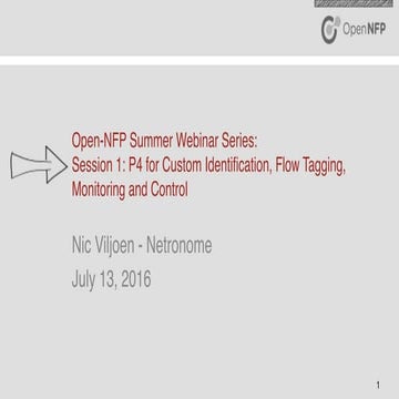 P4 for Custom Identification, Flow Tagging, Monitoring and Control