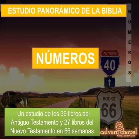 P4 Estudio Panorámico de la Biblia: Números