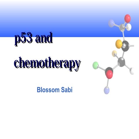 P53 signaling pathway | PDF