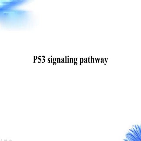 P53 signaling pathway creative diagnostics