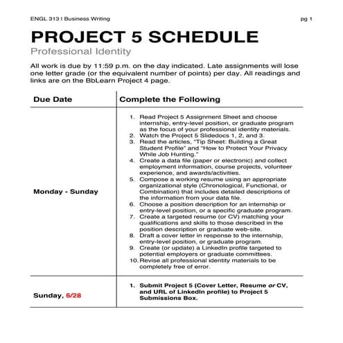 Eng 313 Project 5 Schedule