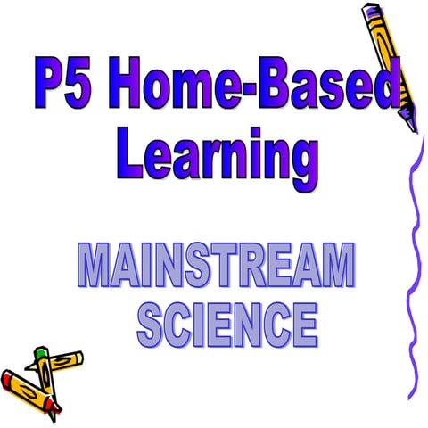 P5 Science - Plant Transport System