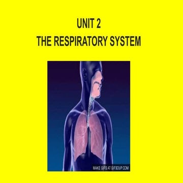 P5 Science Unit 2 Respiratory System.pptx.pdf