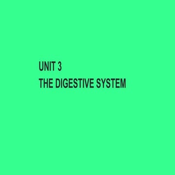 P5 SCIENCE UNIT 3 - DIGESTIVE SYSTEM PART 1.pptx.pdf