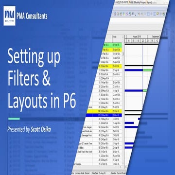 Setting up Filters & Layouts in P6