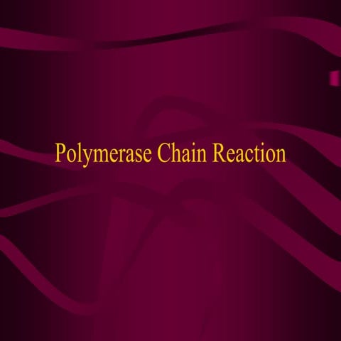 P6 PCR-Presentation 21.10.pdf