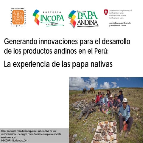 Generando innovaciones para el desarrollo de los productos andinos en el Perú: