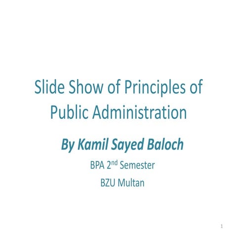Public Administration Role Scope and Defination