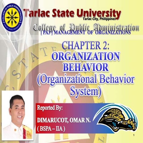 ORGANIZATIONAL BEHAVIOR SYSTEM