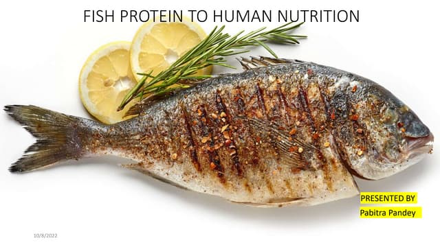 Protein In Whitefish Facts | Calories in 100 g of Whitefish and ...