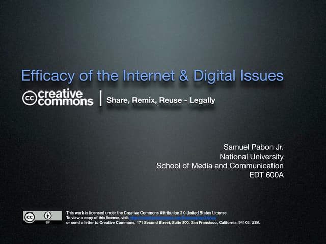 Efficacy of the Internet & Digital Issues