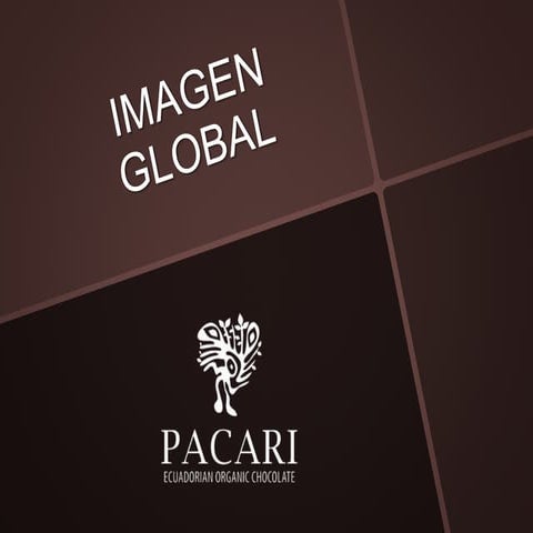 Trabajo empresa pacari | PDF
