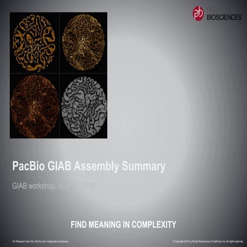 Aug2015 Ali Bashir and Jason Chin Pac bio giab_assembly_summary_ali3