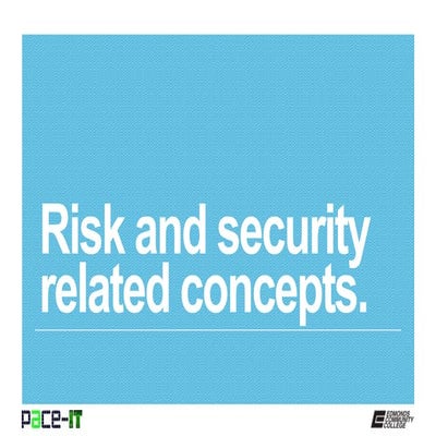 PACE-IT: Risk and Security Related Concepts