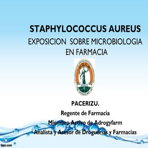 Pacerizu exposiciones-microbiologia del stafiloccocus aureus