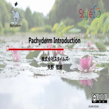 Pachyderm Introduction