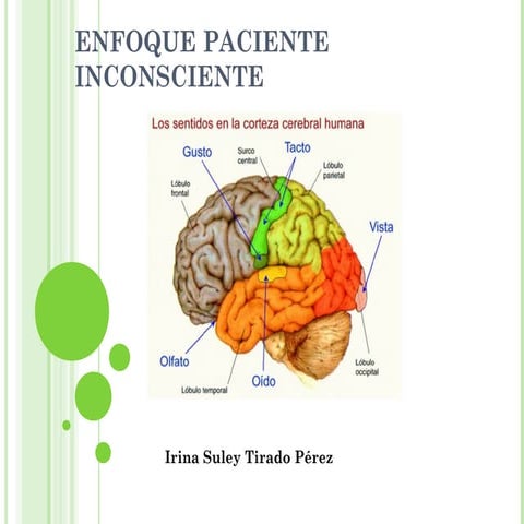 Somnolencia, estupor y coma | PDF