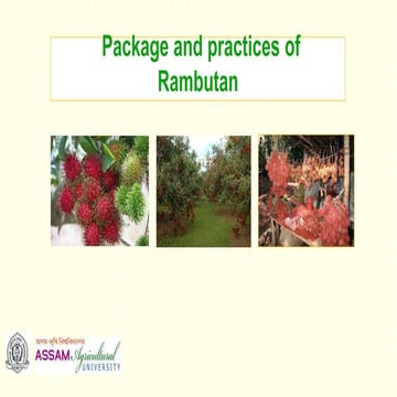 Package and practices of rambutan [autosaved]