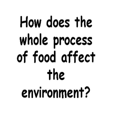 Biodegradable Packaging