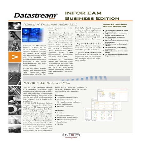 Pack Business Edition INFOR EAM, Datastream Arabia Channel Partner